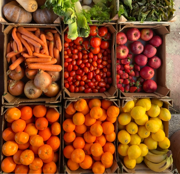 A Trusted Partner in Organic Produce Export