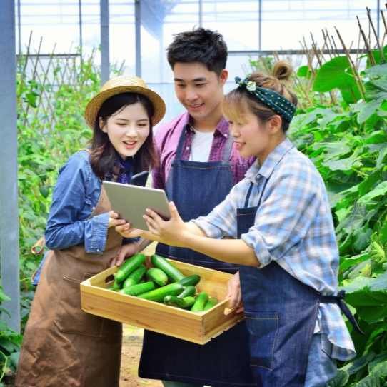 Contact Global Organic Export
