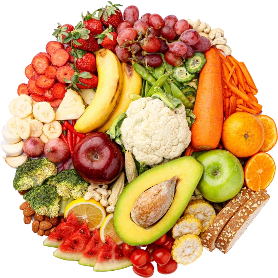 Organic Fruit and Vegetable Export Company
